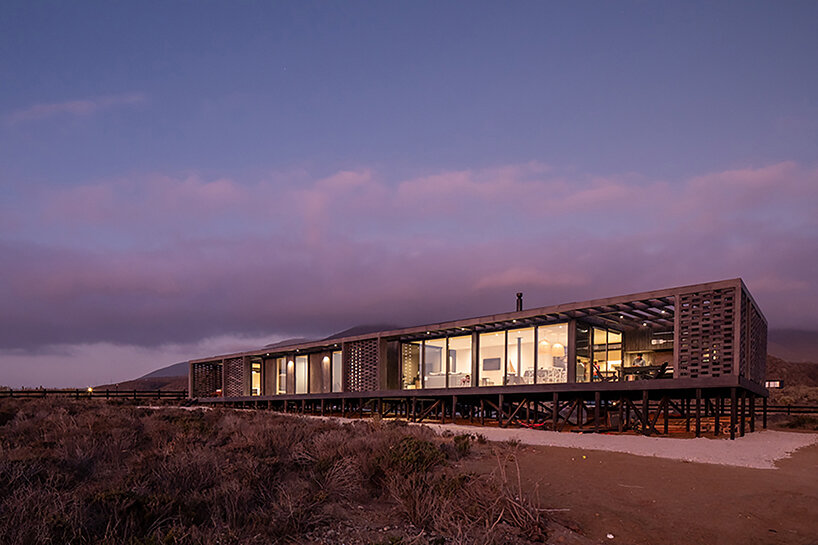G+D house designboom