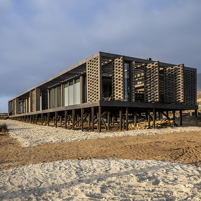 G+D house designboom