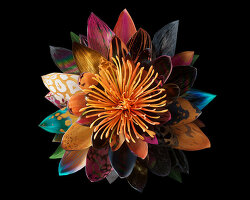 interview: mat collishaw on breeding flowers in the metaverse and his dynamic NFT collection
