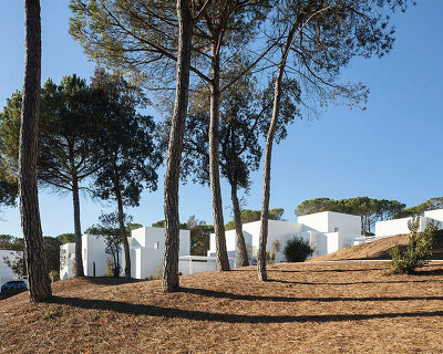 dozens of white cubes spread over a pine forest in the spanish countryside