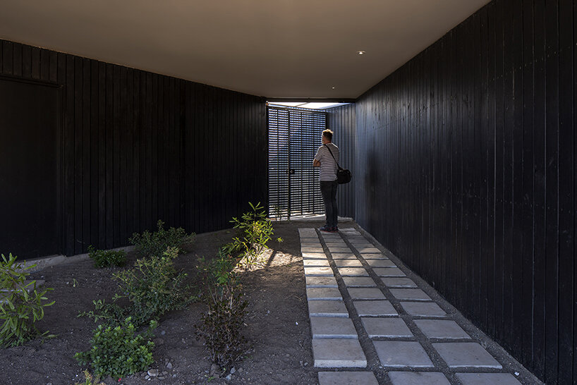 'paire house' by rodolfo cañas emerges as a protective body amid harsh lands in chile