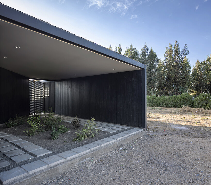 'paire house' by rodolfo cañas emerges as a protective body amid harsh lands in chile