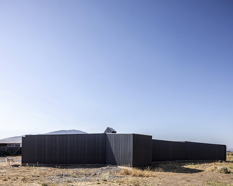 'paire house' by rodolfo cañas emerges as a protective body amid harsh lands in chile