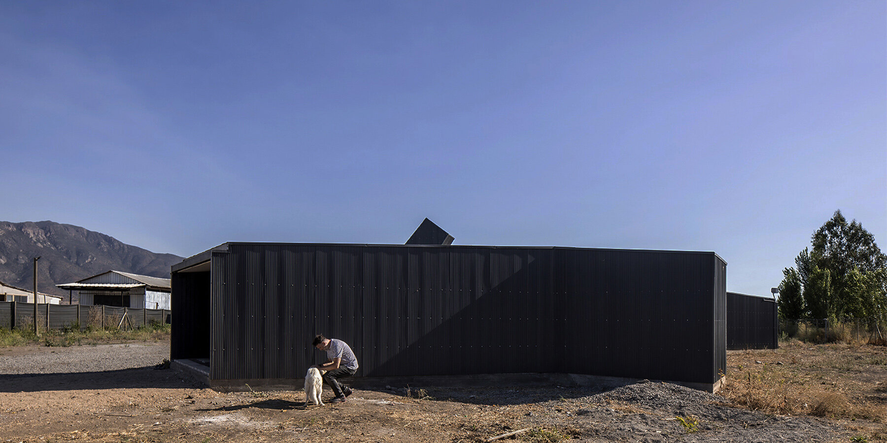 paire-house-designboom-1800