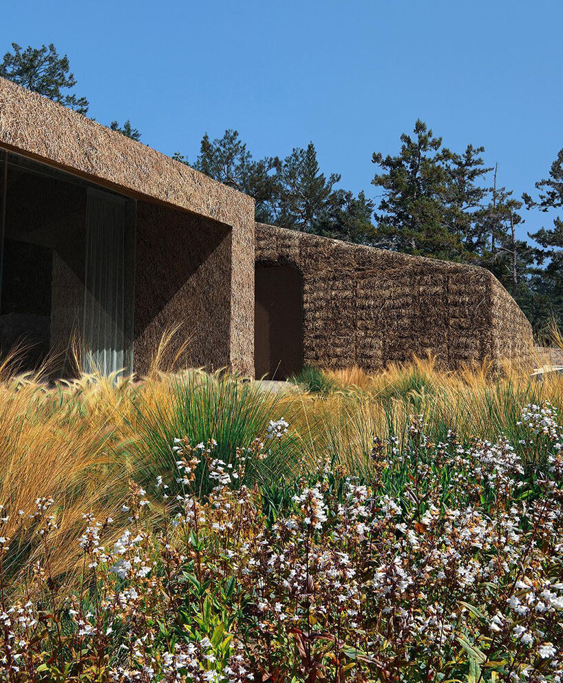 BIG envisions self-sufficient, off-grid island for sustainable clothing brand in nova scotia