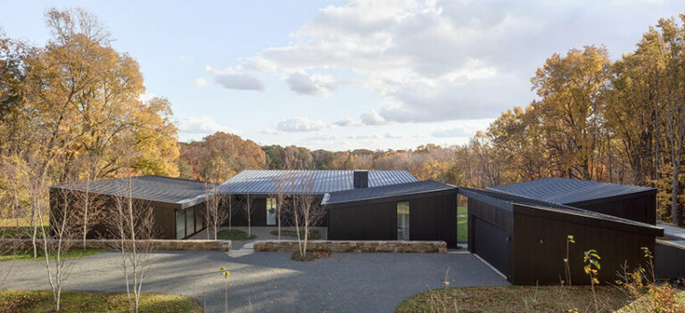 desai chia weaves landscape into blackened timber roxbury house