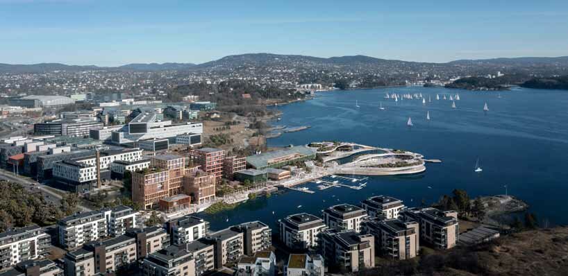 exploring marine life though underwater galleries at haptic & oslo works' ethical fjordarium