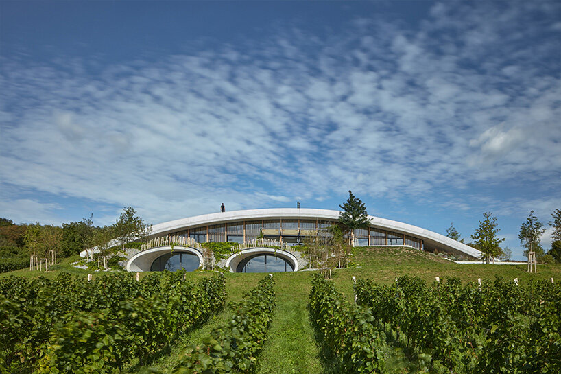 Vinařství Curtau vzniká jako vlnka ve zvlněné krajině Curtejo v České republice.