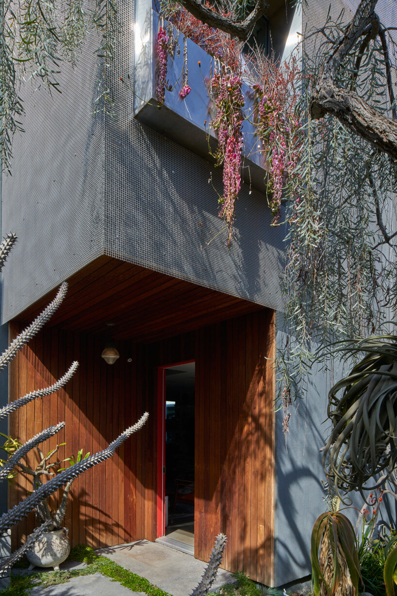 urban garden oasis in LA: interview with matthew royce on designing multifamily 'veil house'