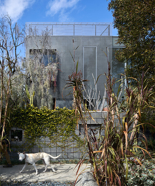 urban garden oasis in LA: interview with matthew royce on designing multifamily 'veil house'