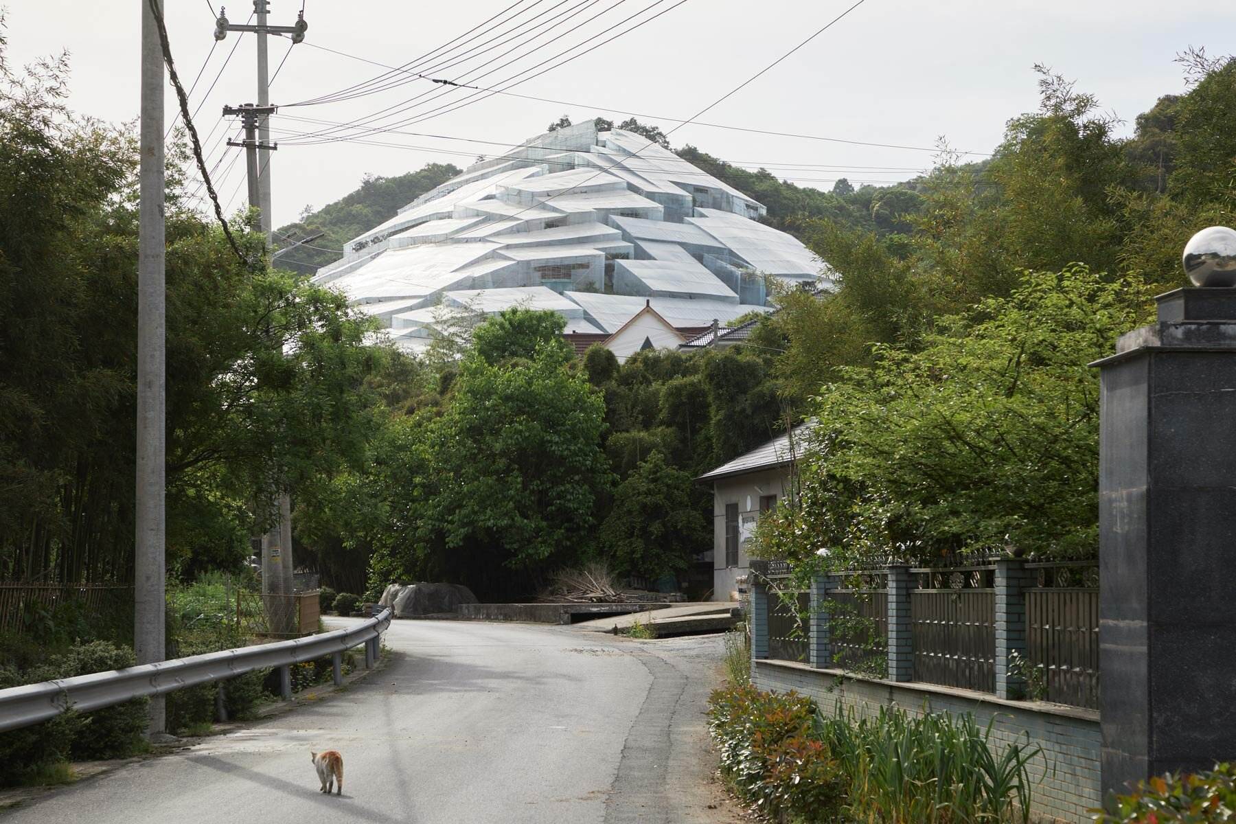 kejia-mei-captures-greenhouses-mountain-foothills-hangzhou-designboom-1800