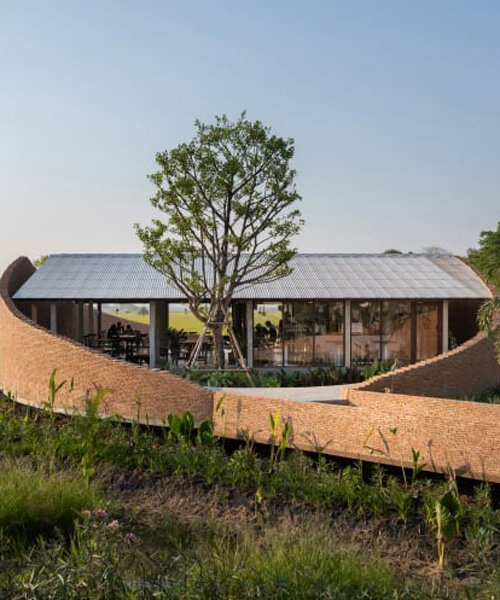 bodinchapa architects integrates naya cafe into the ever-changing rice fields in thailand