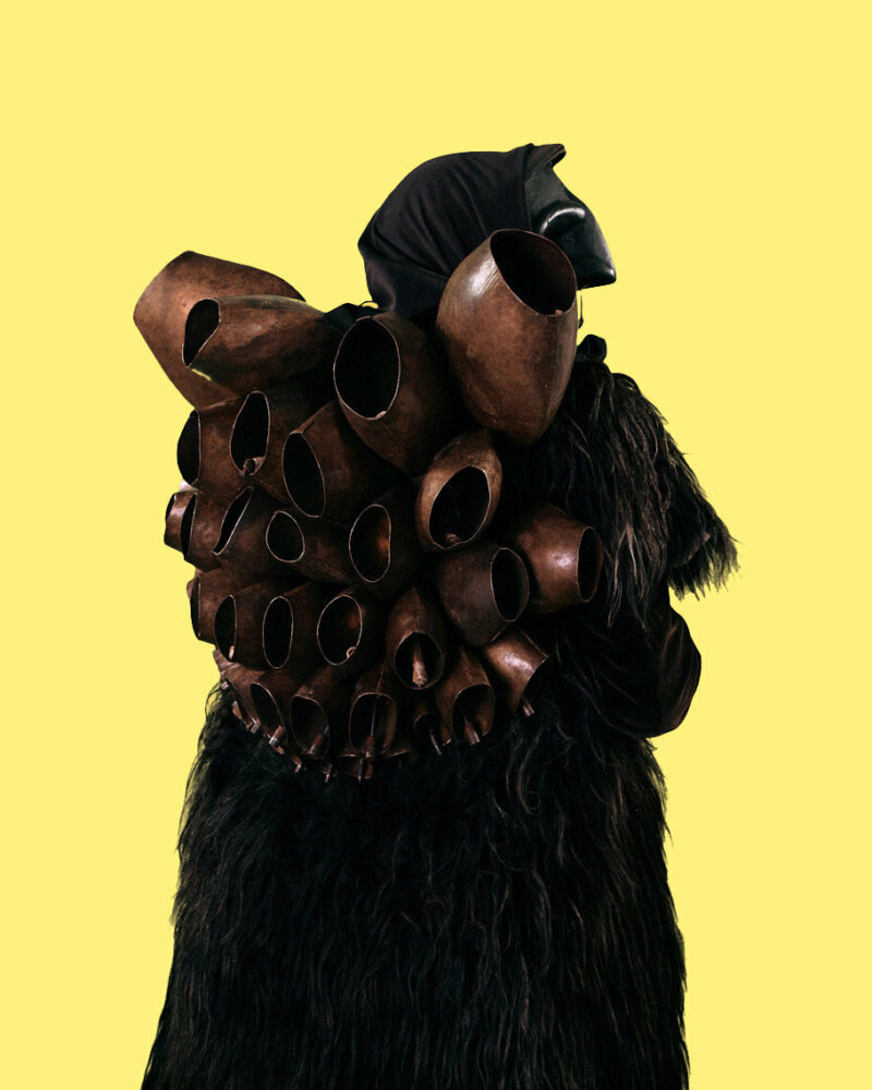 formafantasma's 'oltre terra. why wool matters' explores the co-evolution of sheep & humanity