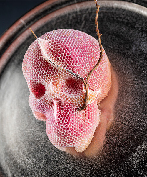 tomáš libertíny works with bees to create 'memento vivere' beeswax skull sculpture series