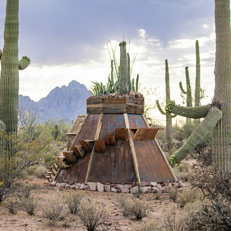 repurposed steel and saguaro bones shapes sonoran desert cabin