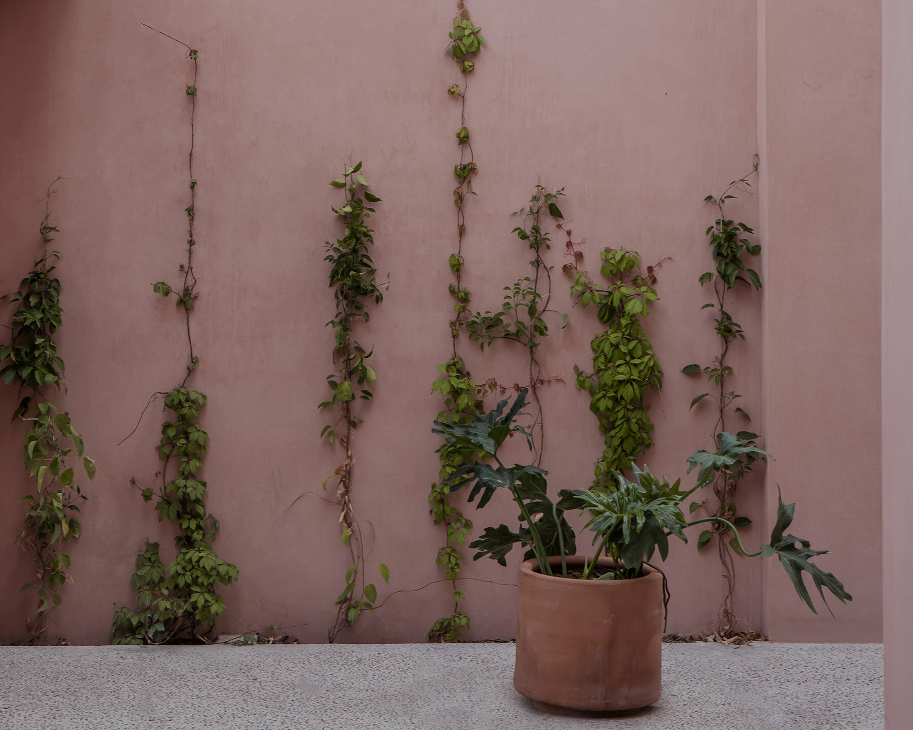 carretas-house-heryco-arquitectos-queretaro-mexico-designboom-08a