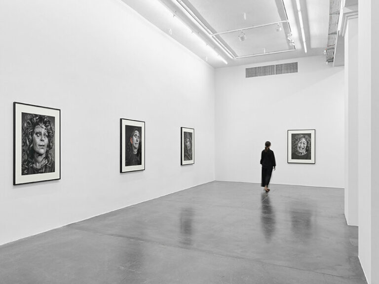 cindy sherman's malformed portraits reflect on the fractured sense of ...