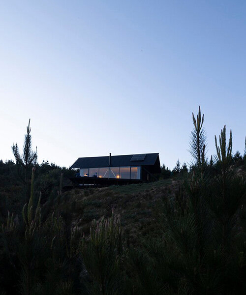 casa chica's transparent facade immerses residents in the serenity of the chilean pine forest 