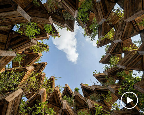 hello wood creates tunnel through time installation in canada