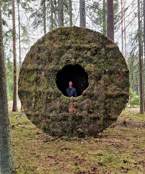 moss-covered hollowed disc by UMA feeds wild boars in swedish forest