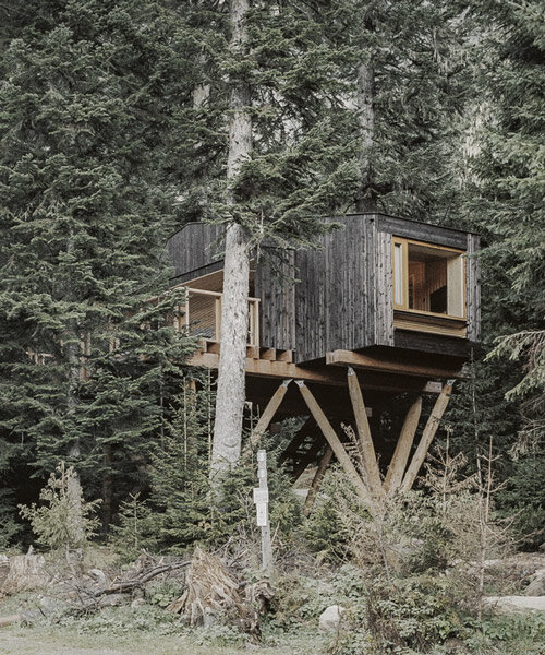 cyril chênebeau perches a pair of cabins on stilts in the forested french alps