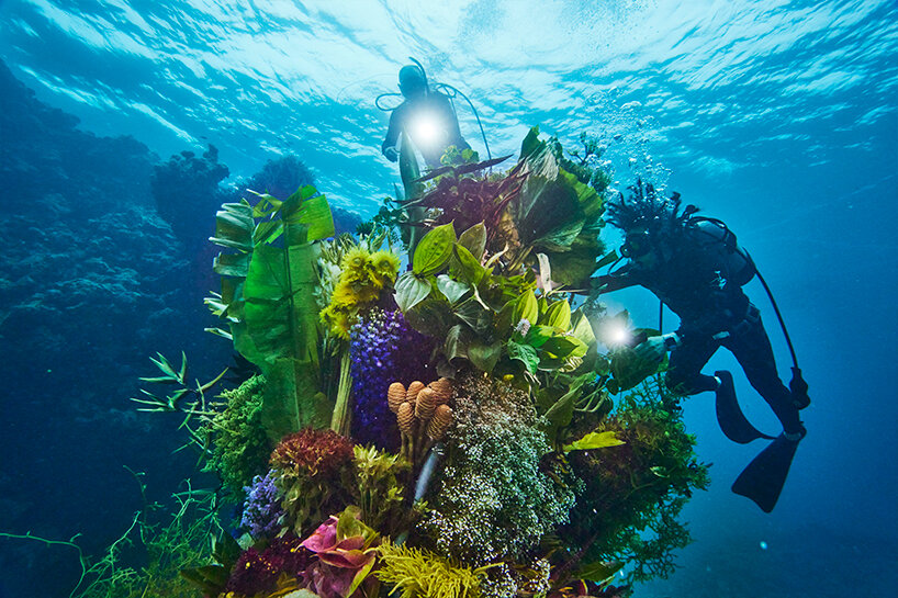 tuffarsi nella natura: l'installazione floreale di azuma makoto sboccia nelle acque inesplorate del Giappone