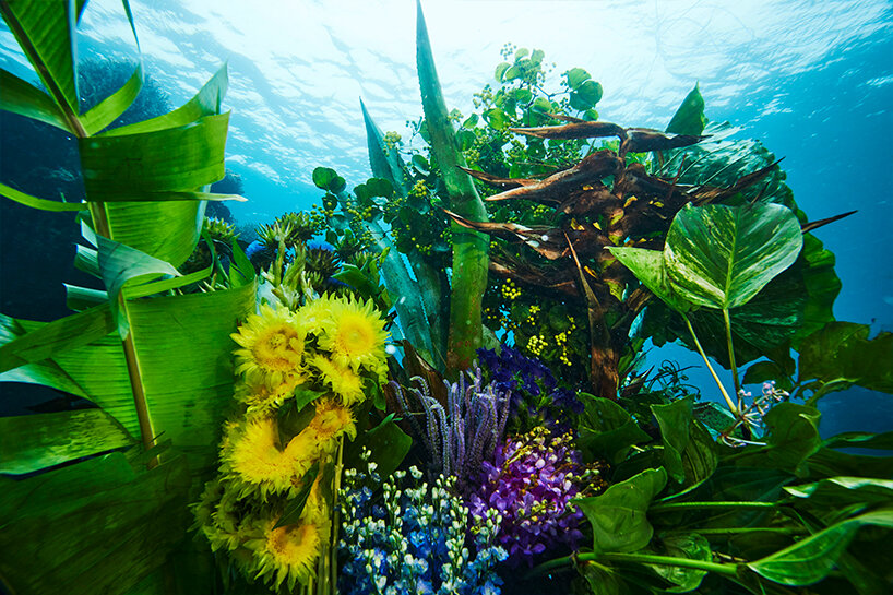 tuffarsi nella natura: l'installazione floreale di azuma makoto sboccia nelle acque inesplorate del Giappone