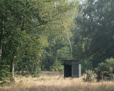 inclume architects' cabin is a remote bird watching shelter in british woodlands