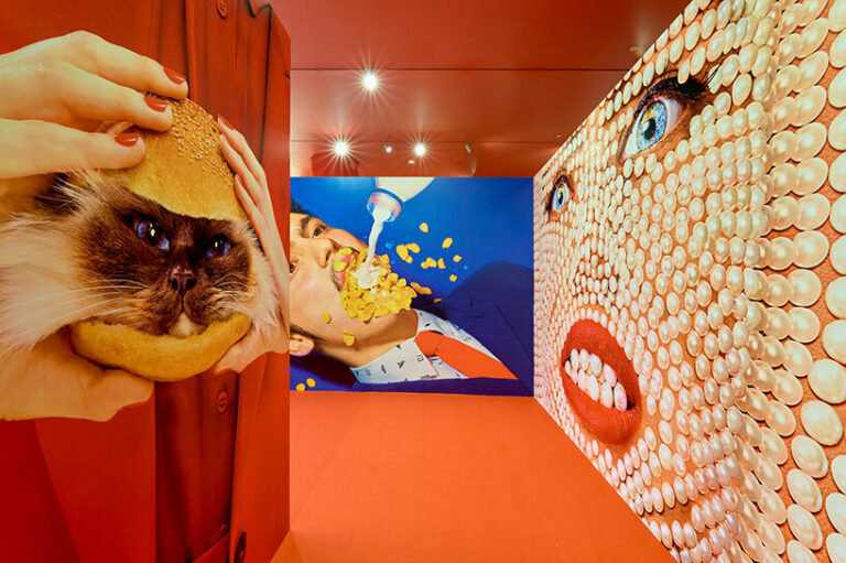 TOILETPAPER's largest immersive exhibition in india opens its doors