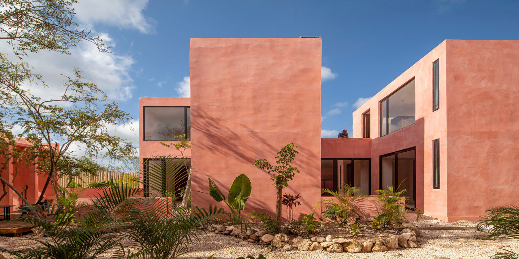 tulix-coyote-arquitectura-designboom-1