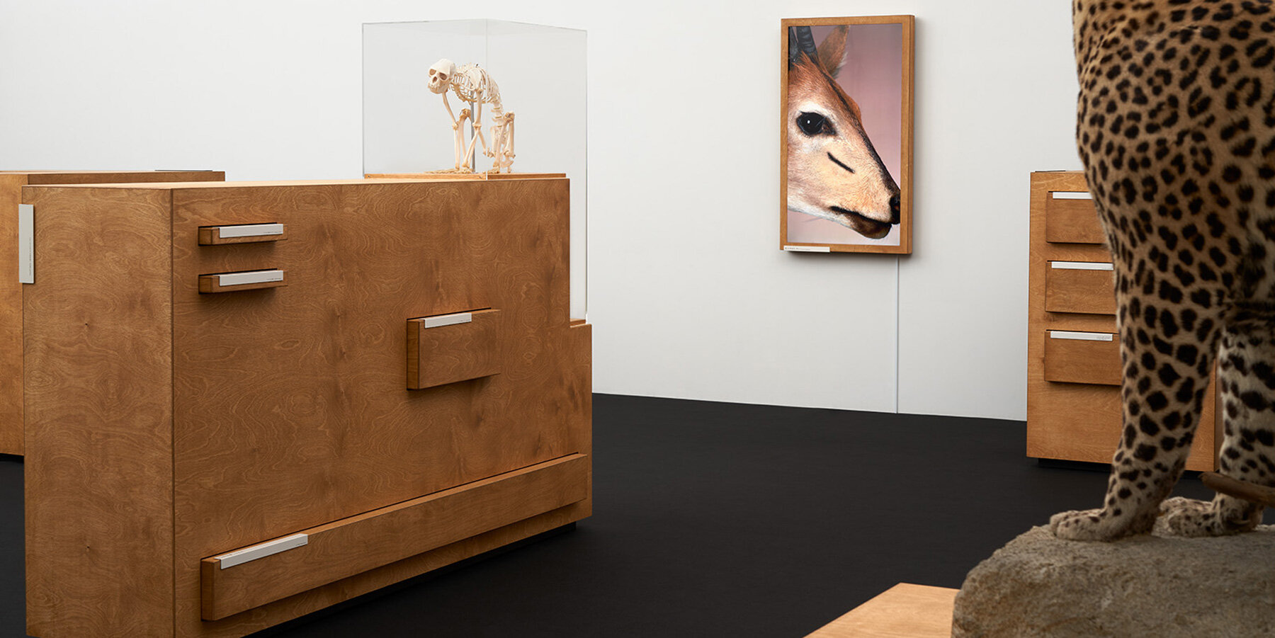 who-are-we-haruka-misawa-designboom-1800-2