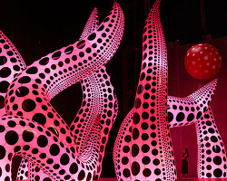 LOUIS VUITTON x Yayoi Kusama 🇯🇵 Mirrors of Polka Dots outside Place  Vendôme Store, Paris 23.01.2023 
