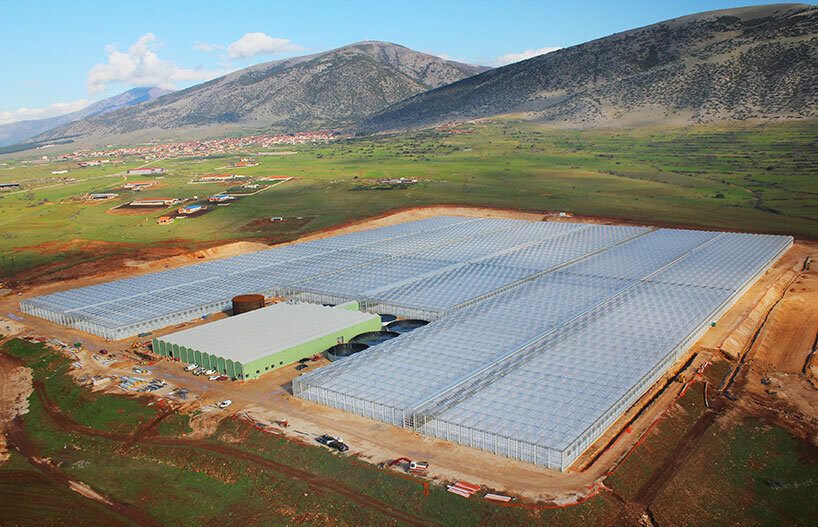 neom greenhouse saudi arabia