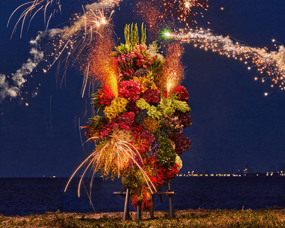 azuma makoto's botanical sculpture blossoms amidst colorful fireworks