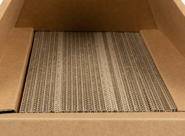 cats get their own tesla cybertruck ahead of the real car's production