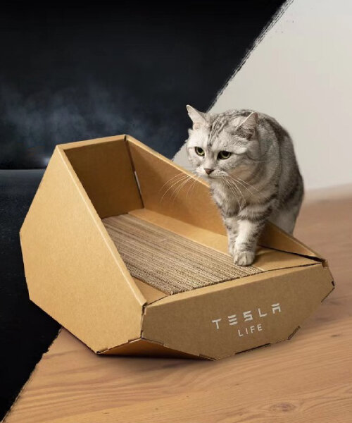 cats get their own tesla cybertruck ahead of the real car's production