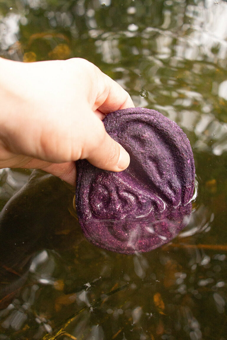 Del Rio Detect 'colores del rio' is a bio-tool that can detect contaminated water