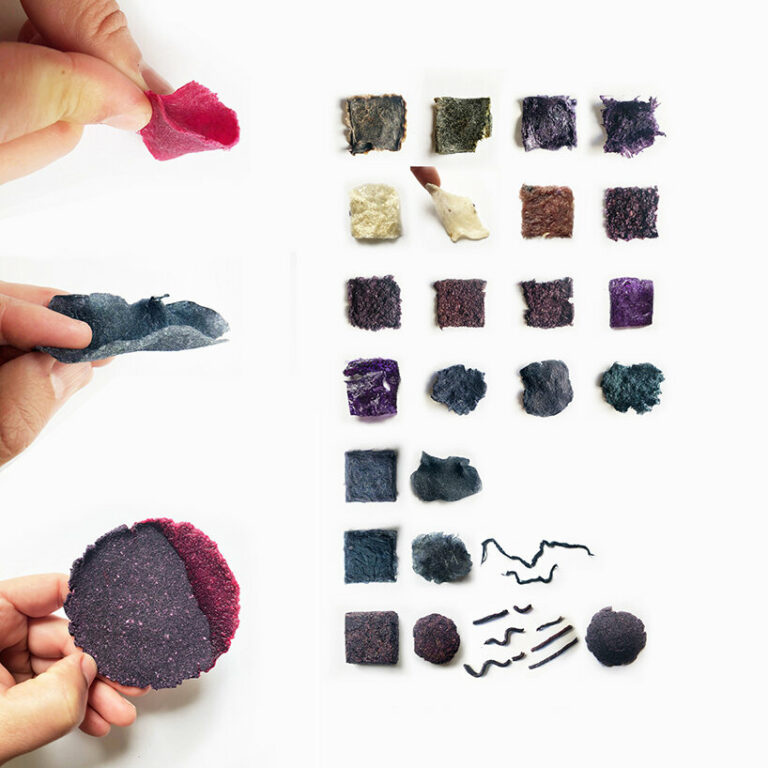 Del Rio Detect 'colores del rio' is a bio-tool that can detect contaminated water