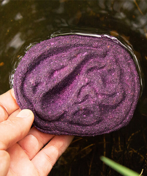 made of red cabbage waste, this bio-tool by melissa ortiz can detect contaminated water