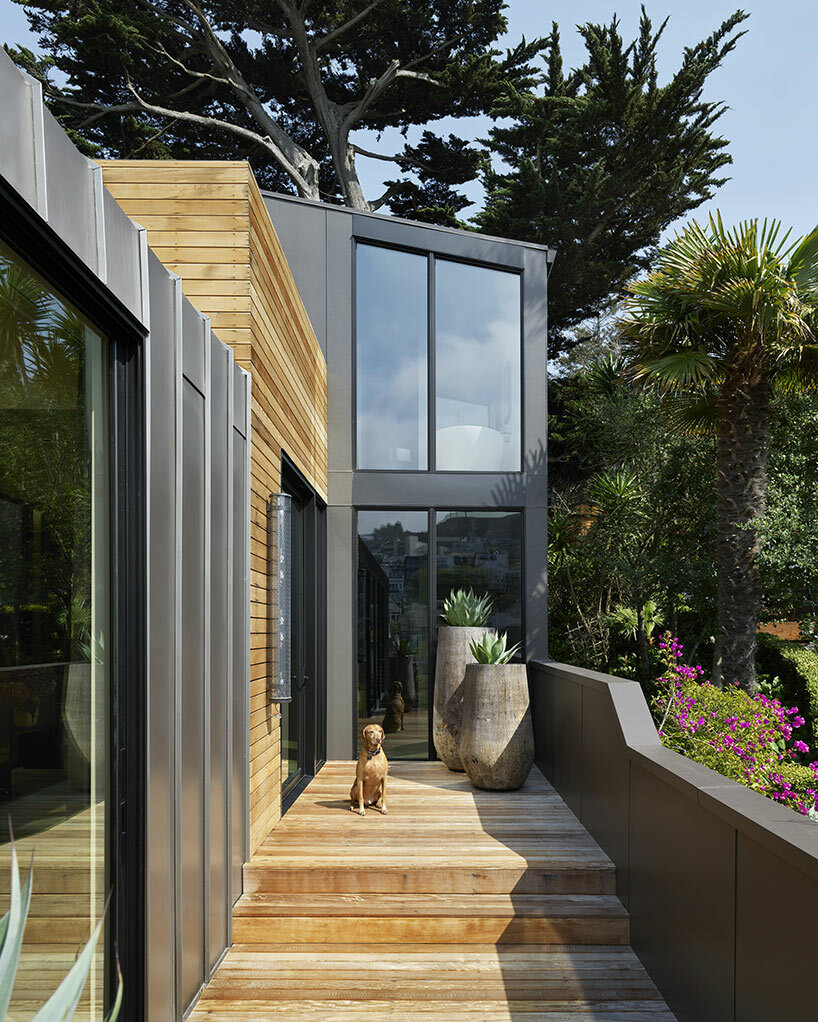 jones haydu dolores heights