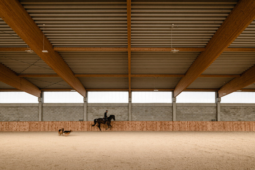 raw concrete, steel panels, and wood wrap wiercinski studio's equestrian center in poland