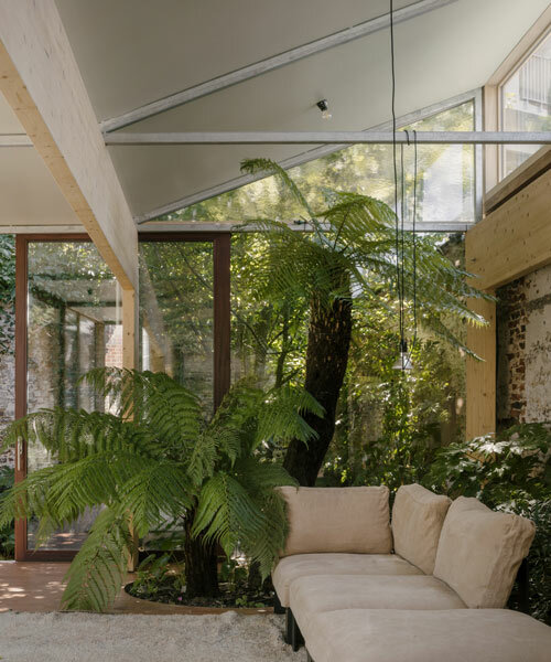 machteld d’hollander plants this 'martelaar house' as a tropical oasis in ghent