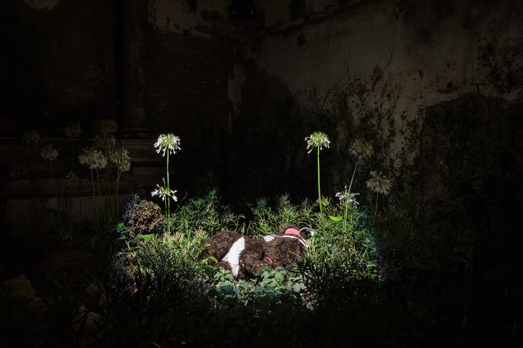 precious-okoyomon-ancient-roman-church-poisonous-flowers-black-butterflies-designboom-21800