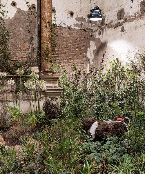 precious okoyomon fills deconsecrated roman church with poisonous flowers and butterflies