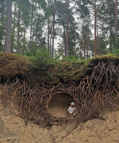 UMA's sprawling root hut installation engulfs visitors in a curtain of branches and moss