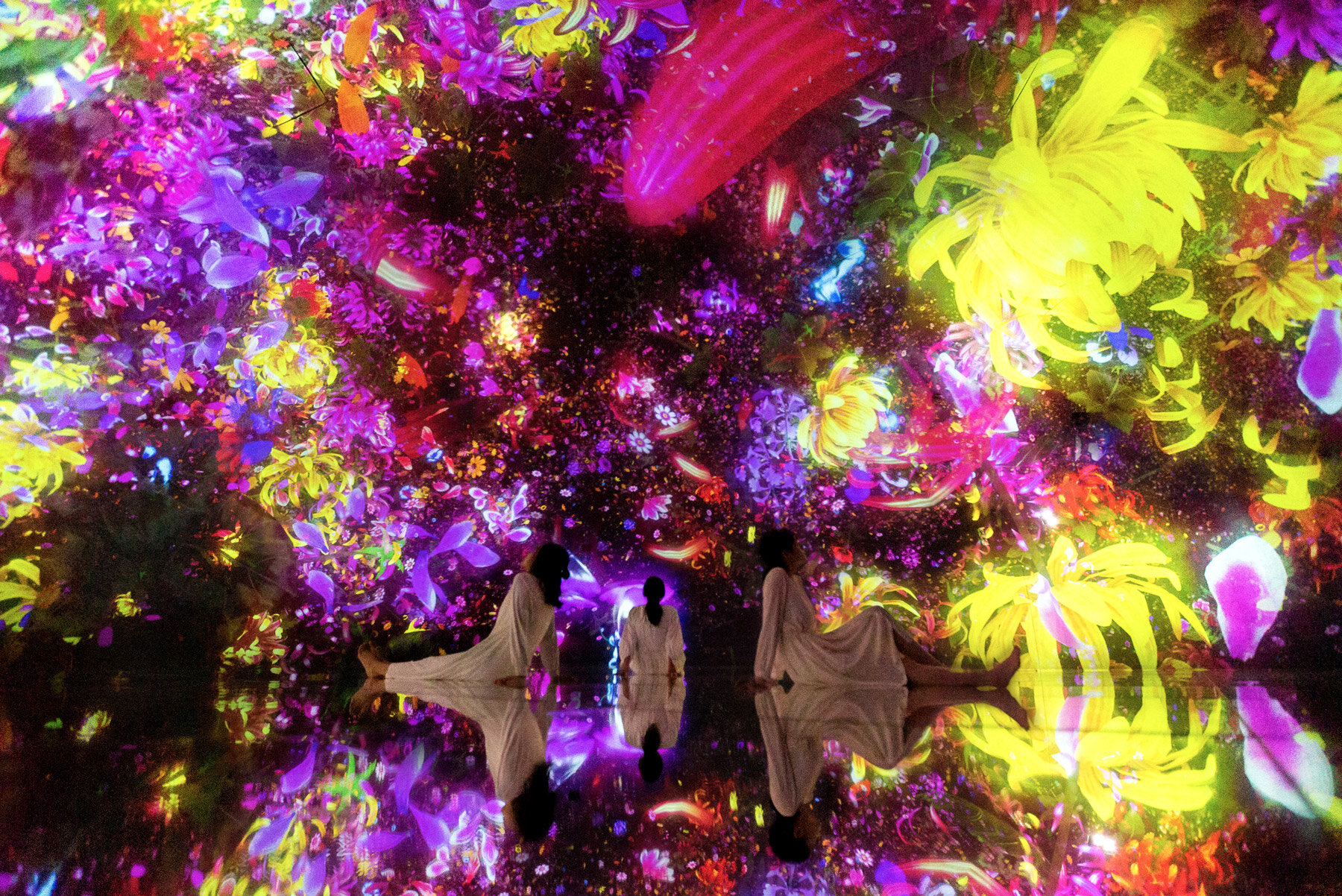 designboom visits teamLab's Planets TOKYO new additions to their body ...