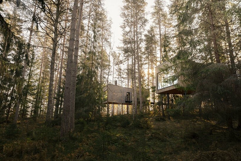 into the woods or out in the desert, how cabins employ unique forms to blend into nature