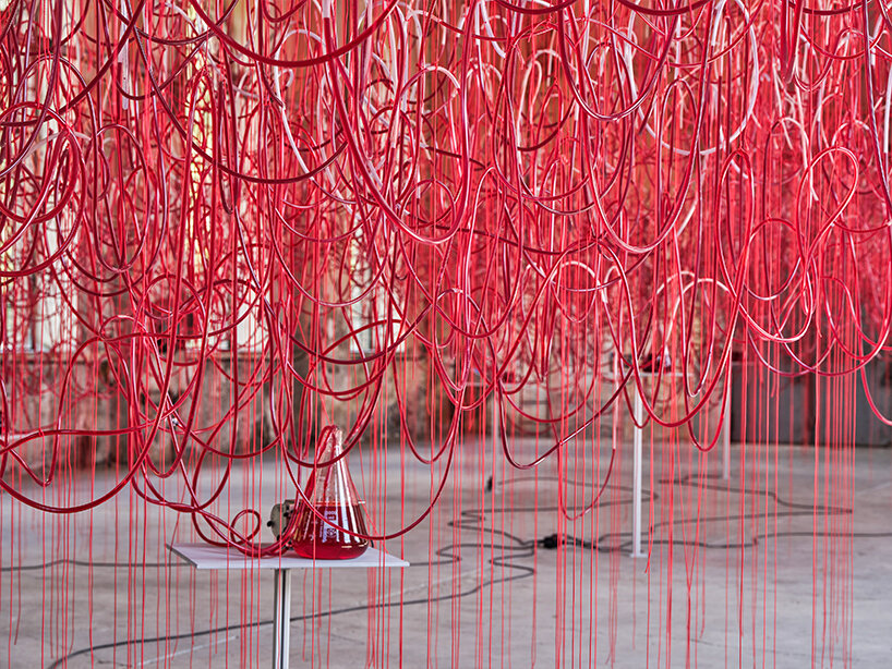 red liquid flows through chiharu shiota's 'who am I tomorrow 