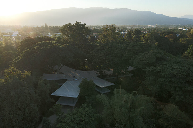 all(zone) joins five curved wings to compose 'under the rain trees' house in northern thailand