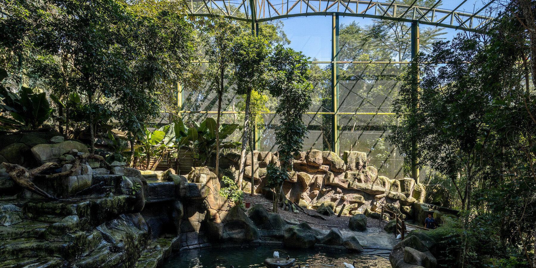 am2-arquitetura-animalia-park-brazil-designboom-1800-3